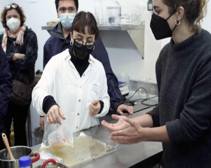 Proyecto Fondef Usach que desarrollará bioplástico a partir de algas, organizó taller en la Región de los Lagos