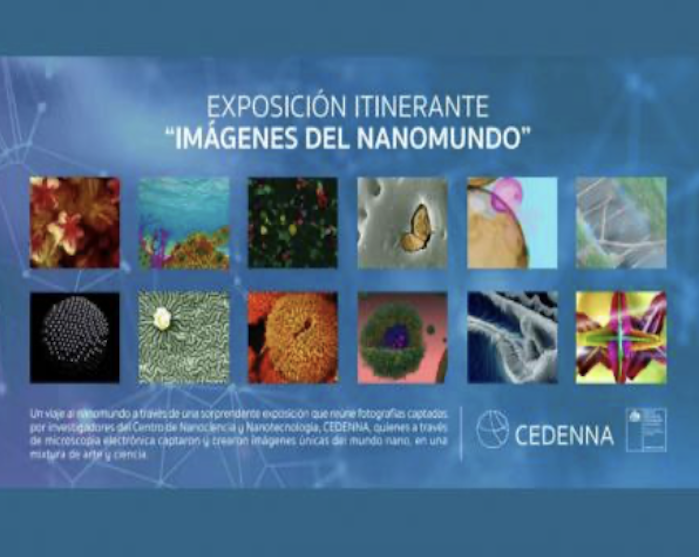 Recopilan impresionantes y artísticas fotografías del universo nano capturadas por investigadores de Cedenna